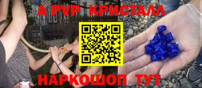 шишки Партизанск