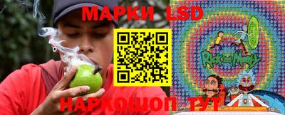 молекула духа Пенза