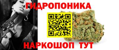 молекула духа Пенза