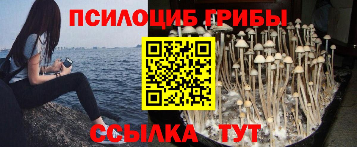 Псилоцибиновые грибы MAGIC MUSHROOMS Скопин