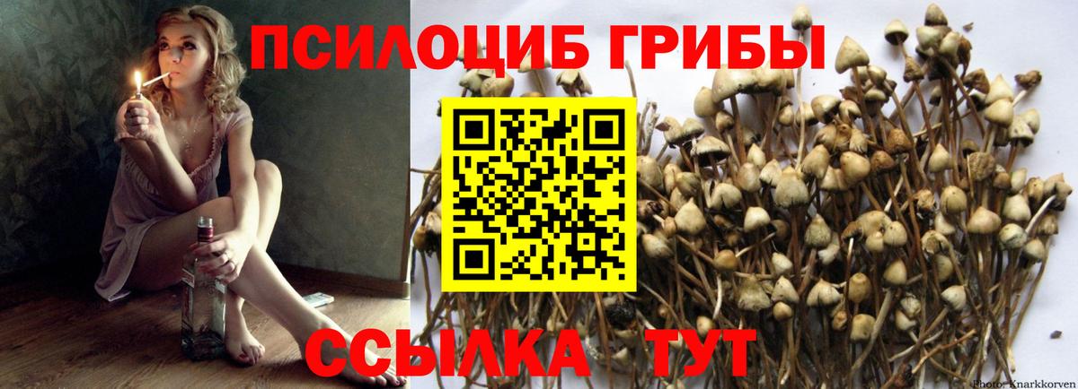 Псилоцибиновые грибы ЛСД  Вход с VPN  Скопин 